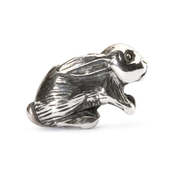ARABIAN HARE - RETIRED