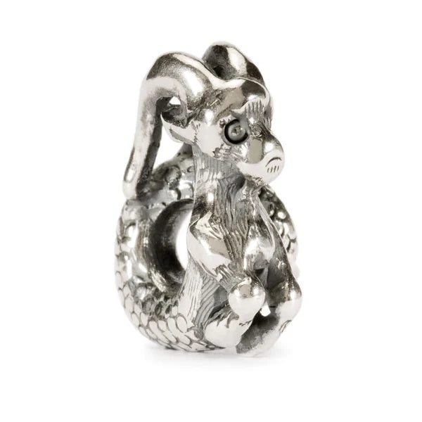 CAPRICORN (22ND DECEMBER - 19TH JANUARY) - RETIRED