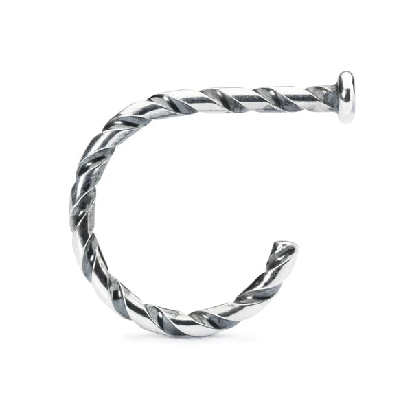TWISTED RING OF CHANGE
