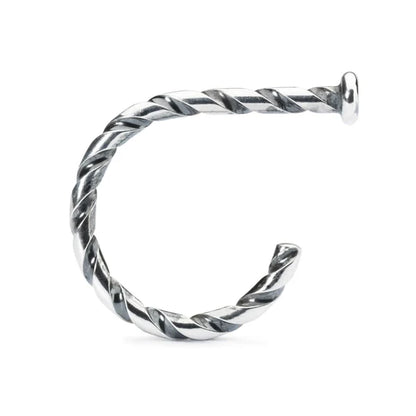 TWISTED RING OF CHANGE