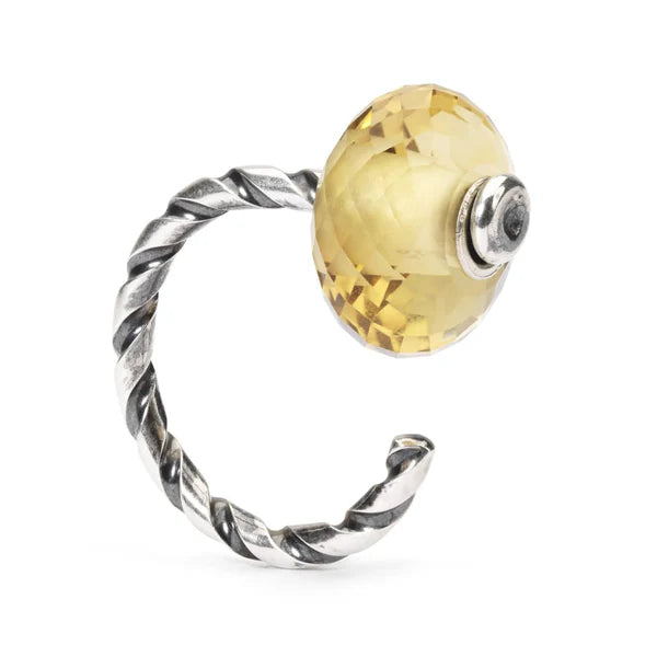 TWISTED RING OF CHANGE